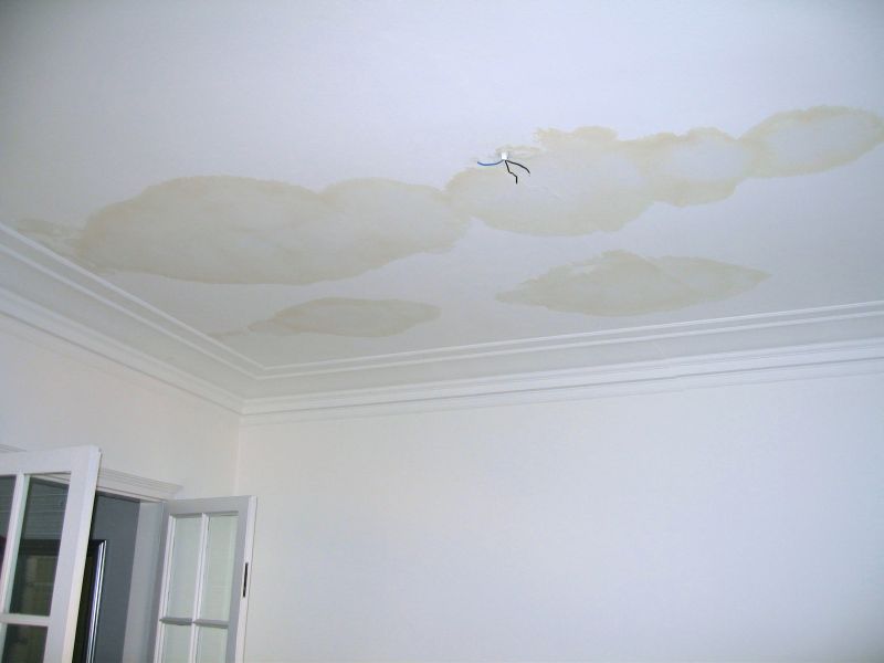 Ceiling Water Damage Repair in Kansas City, KS